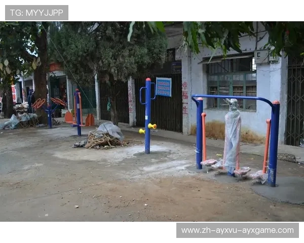 高寒地区健身器材沈阳模式防锈技术突破